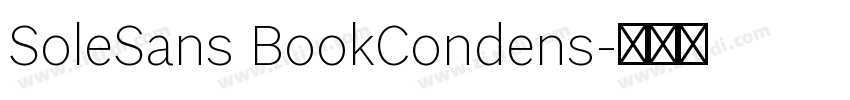 SoleSans BookCondens字体转换